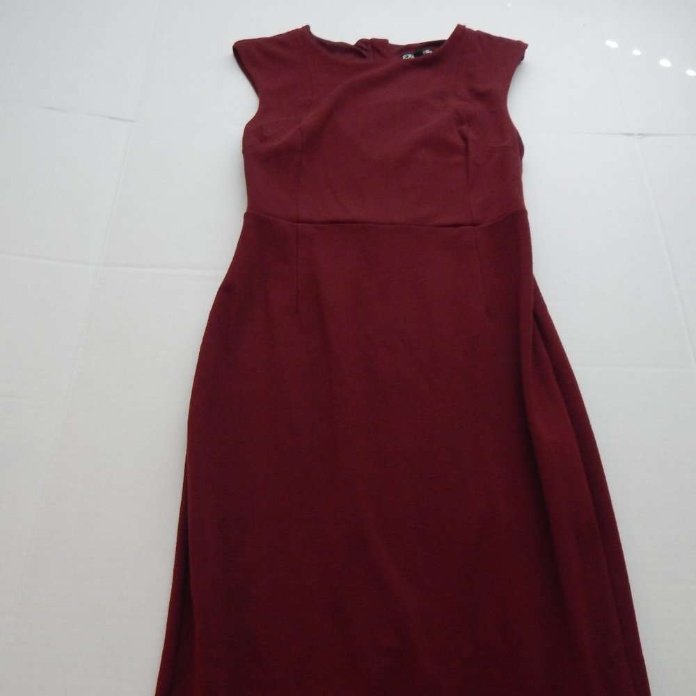 Express Maroon Solid Bodycon Dress